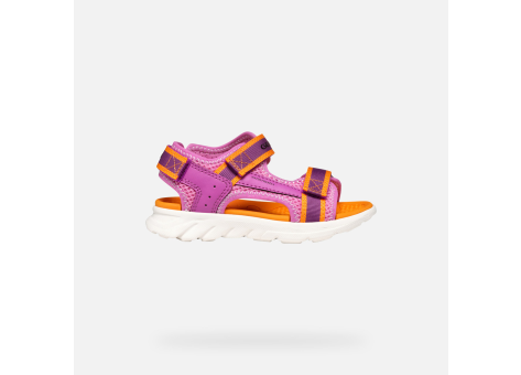 GEOX Airadyum (J55MTA01454C8345) bunt