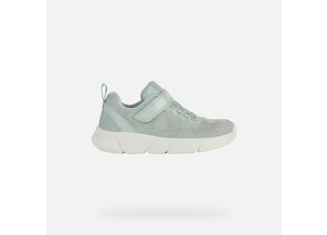 GEOX Aril (J25DLD07QBCC3592) grün