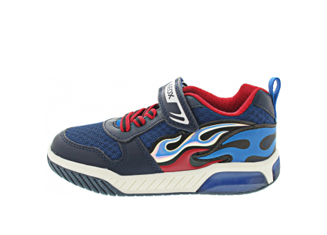 GEOX Inek (J459CC 01454 C0693) bunt