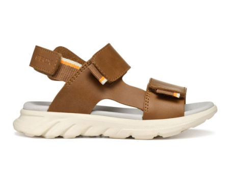 GEOX Airadyum (J55F1B_0009B_C6241) braun