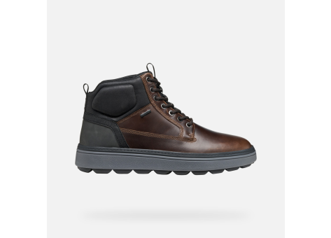 GEOX Spherica Ecub 1.1 Abx (U56LUB0FFCQC6238) bunt