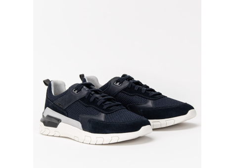 GEOX Grecale C (U158ZC 02214 C4002) schwarz