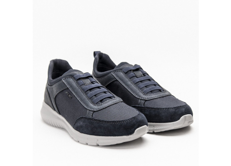 GEOX U Monreale C (U15BVC 01122 C4002) bunt