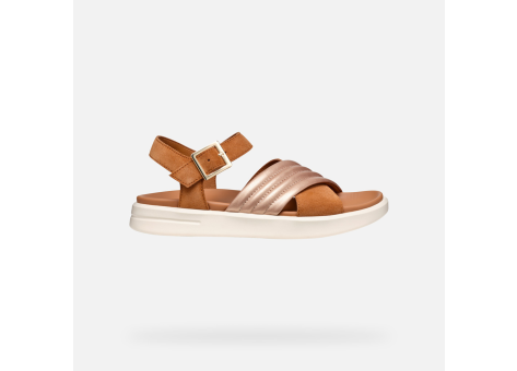 GEOX Xand 2s (D45PAD022NFC6NH8) braun