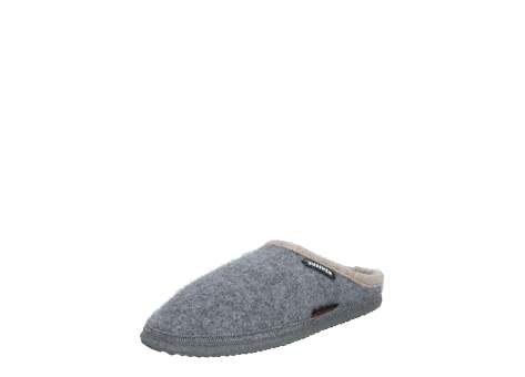 GIESSWEIN Dannheim (32/10/42084/617) grau