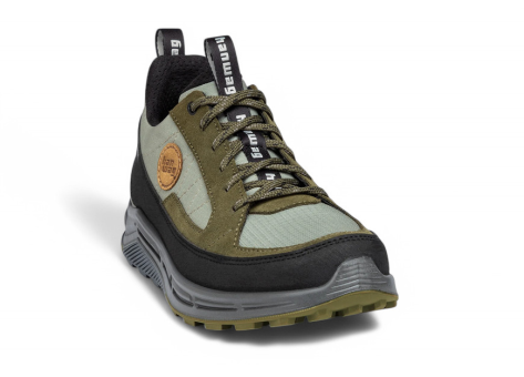 Hanwag Rotpunkt Light Low GTX (H300700-30363) bunt