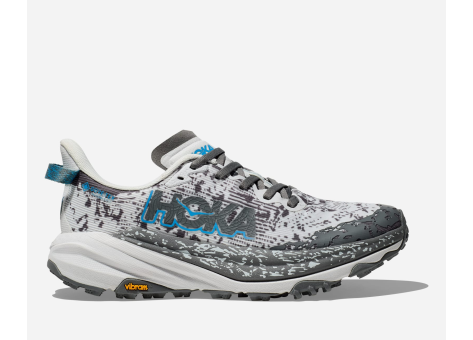 Hoka Speedgoat 6 GORE TEX (1155151-CSMCG) grau