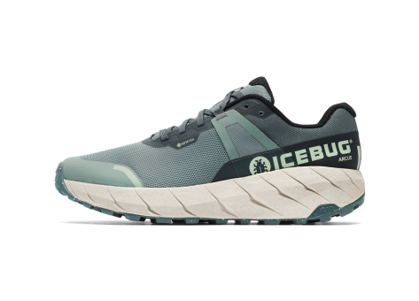 Icebug Arcus RB9X GTX (H73001-0C) grün