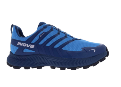 Inov-8 Roclite GTX (001287-BLNY-W-001) blau