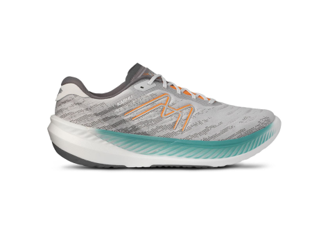 Karhu Fusion 4.0 Grö e 42 5 (F101015_000) bunt