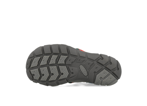Keen Seacamp II CNX C Multi Austern (1027416) bunt