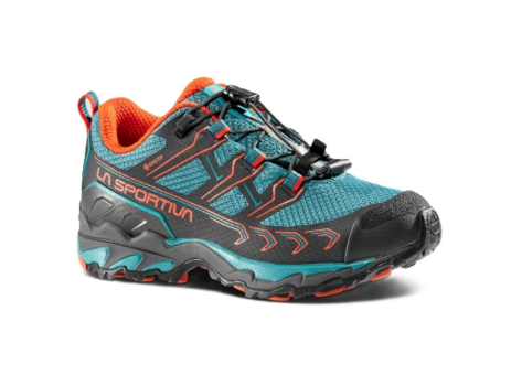 La Sportiva Ultra Raptor II GTX (ZFHS135-B38R2) bunt