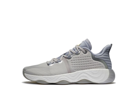 Li-Ning Multifunction Gym Athleisure Casual Sports Shoe Gray (AFVS003-1) grau