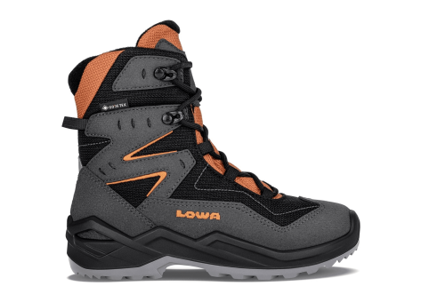 Lowa Lino GTX (650530-9728) grau