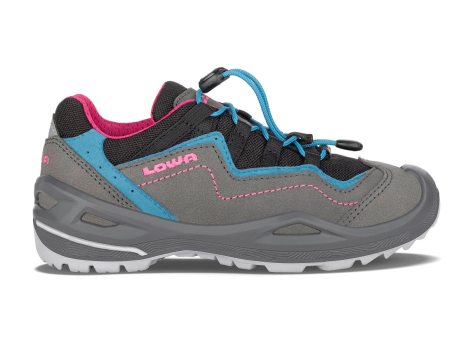 Lowa Robin EVO GTX Low (650711-9796) grau