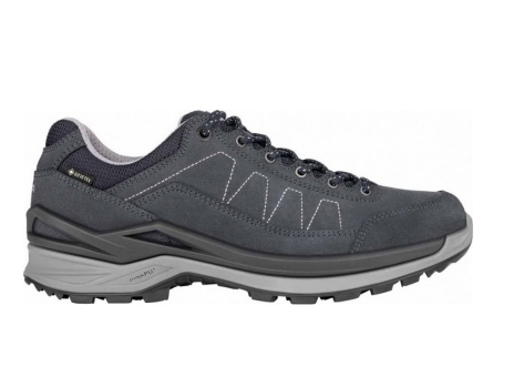 Lowa Toro Pro Low GTX (310931-6130) grau