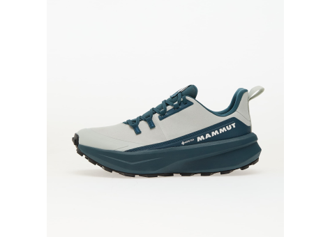 Mammut Aenergy Hike Low GTX (3030-05220-13) bunt