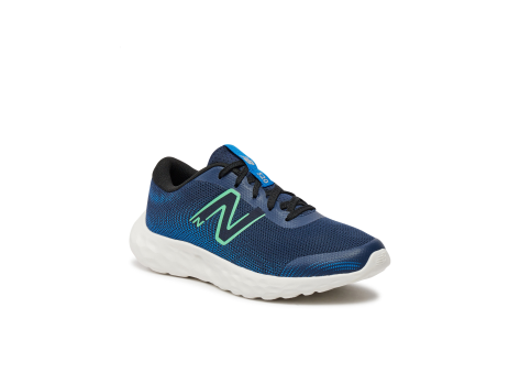 New Balance 520v8 (GP520RG8) blau