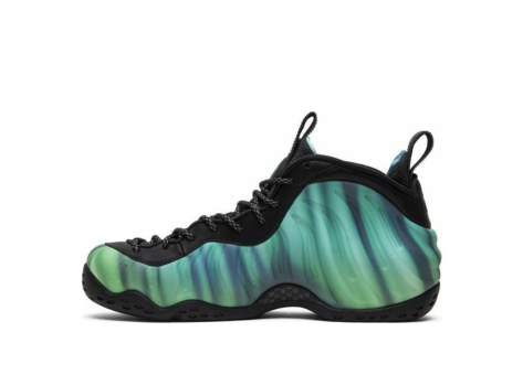 Nike Air Foamposite One PRM Lights Northern (840559 001) bunt