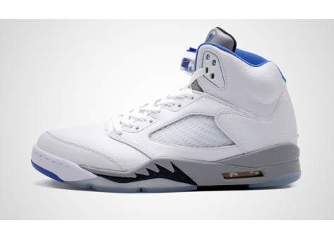 Jordan Air 5 Retro Stealth (DD0587-140) weiss