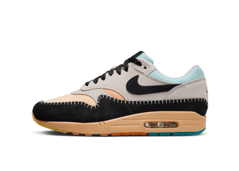 Nike Air Max 1 (FZ3610 072) bunt