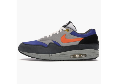Nike Air Max 1 Skulls Pack (307133-481) bunt