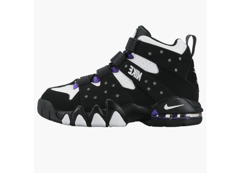 Nike Air Max 2 CB 94 2015 gs (309560 007) bunt