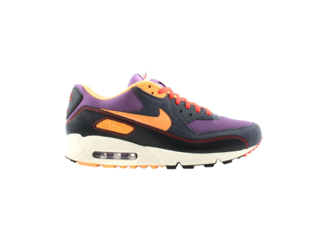 Nike Air Max 90 (314206-581) bunt