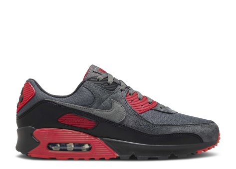 Nike Air Max 90 (DM0029 007) grau