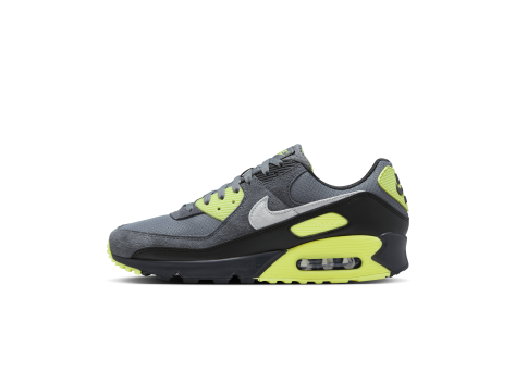 Nike Air Max 90 (DM0029-012) grau