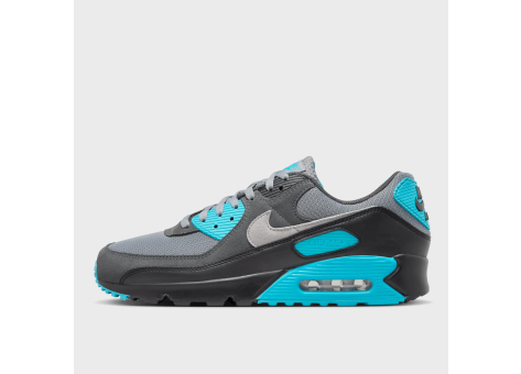 Nike Air Max 90 Cool Grey Wolf Dusty Cactus (DM0029-013) grau