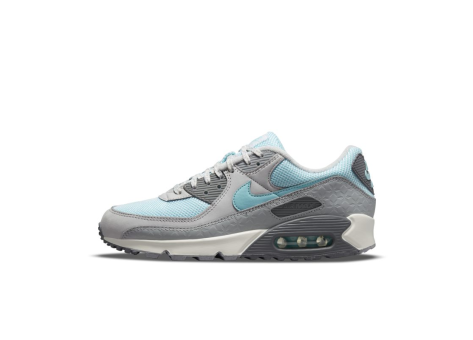 Nike Air Max 90 (DQ0789-001) bunt