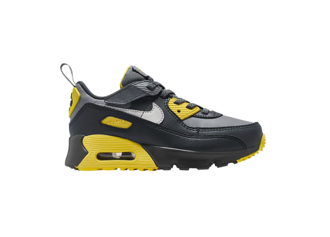 Nike Air Max 90 EasyOn (IH1417-702) bunt