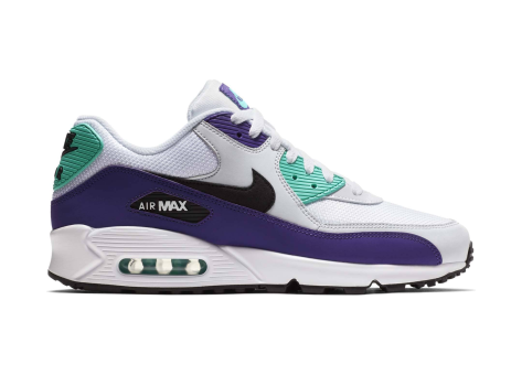 Nike Air Max 90 Essential (AJ1285-103) bunt