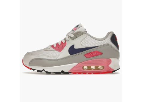 Nike Air Max 90 History Of (313098-141) bunt