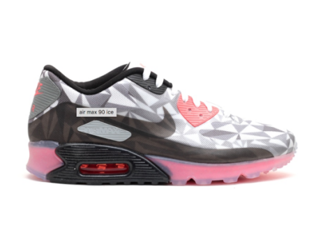 Nike Air Max 90 Ice (631748-006) bunt