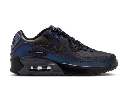 Nike Air Max 90 (IH8654-001) bunt