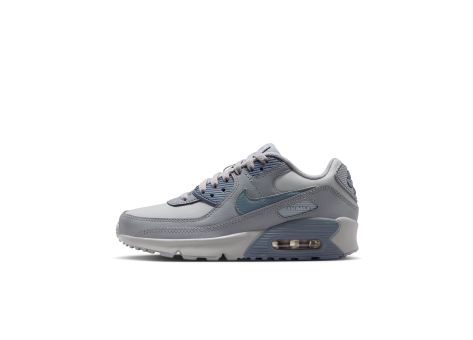 Nike Air Max 90 LTR (CD6864-032) grau