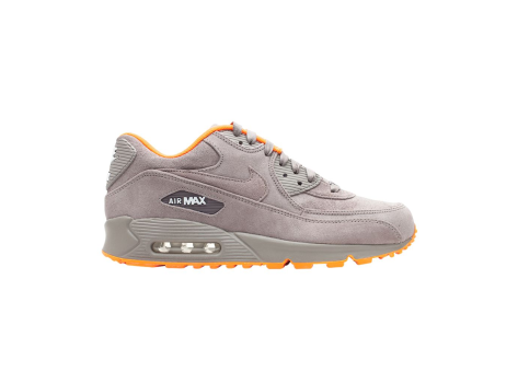 Nike Air Max 90 (586848-221) grau