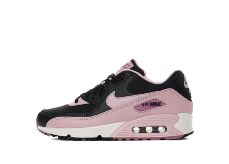 Nike Air Max 90 (325213-059) bunt