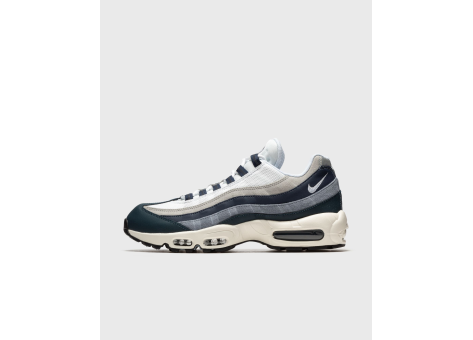 Nike Air Max 95 (DC9412-400) bunt
