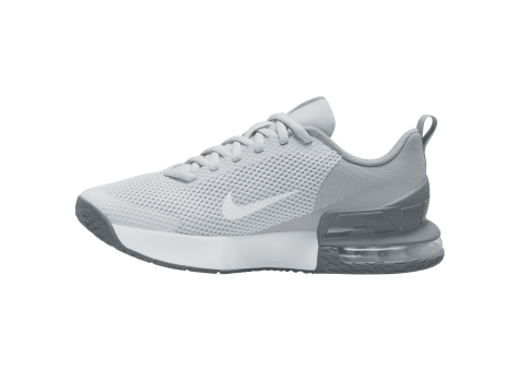 Nike Air Max Alpha Trainer 6 grau FQ1833 002 Preisvergleich