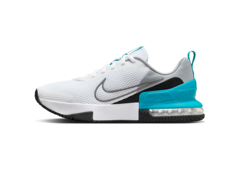 Nike Air Max Alpha Trainer 6 (FQ1833-004) bunt