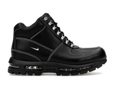 Nike Air Max Goadome (HF5306 001) schwarz