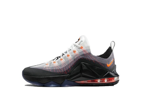 Nike Air Max 95 LeBron 12 Low (812560 081) bunt
