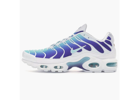 Nike Air Max Plus Bleached Aqua Fierce womens (AQ9979-100) bunt