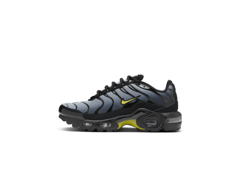 Nike Air Max (CD0609-033) schwarz