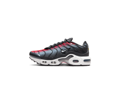 Nike Air Max (CD0609-604) rot