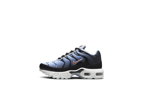 Nike Air Max Plus Blue Tint Light Smoke Grey Rugged (CD0610-023) bunt