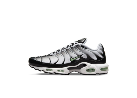 Nike Air Max Plus Seafoam (DH4776-100) weiss